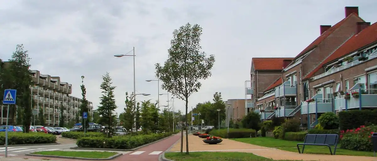 Een straat met bomen en woningen in Castricum