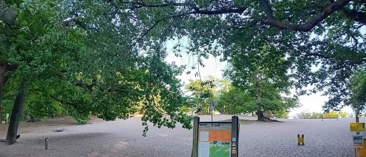 De Loonse en Drunense Duinen bij Kaatsheuvel